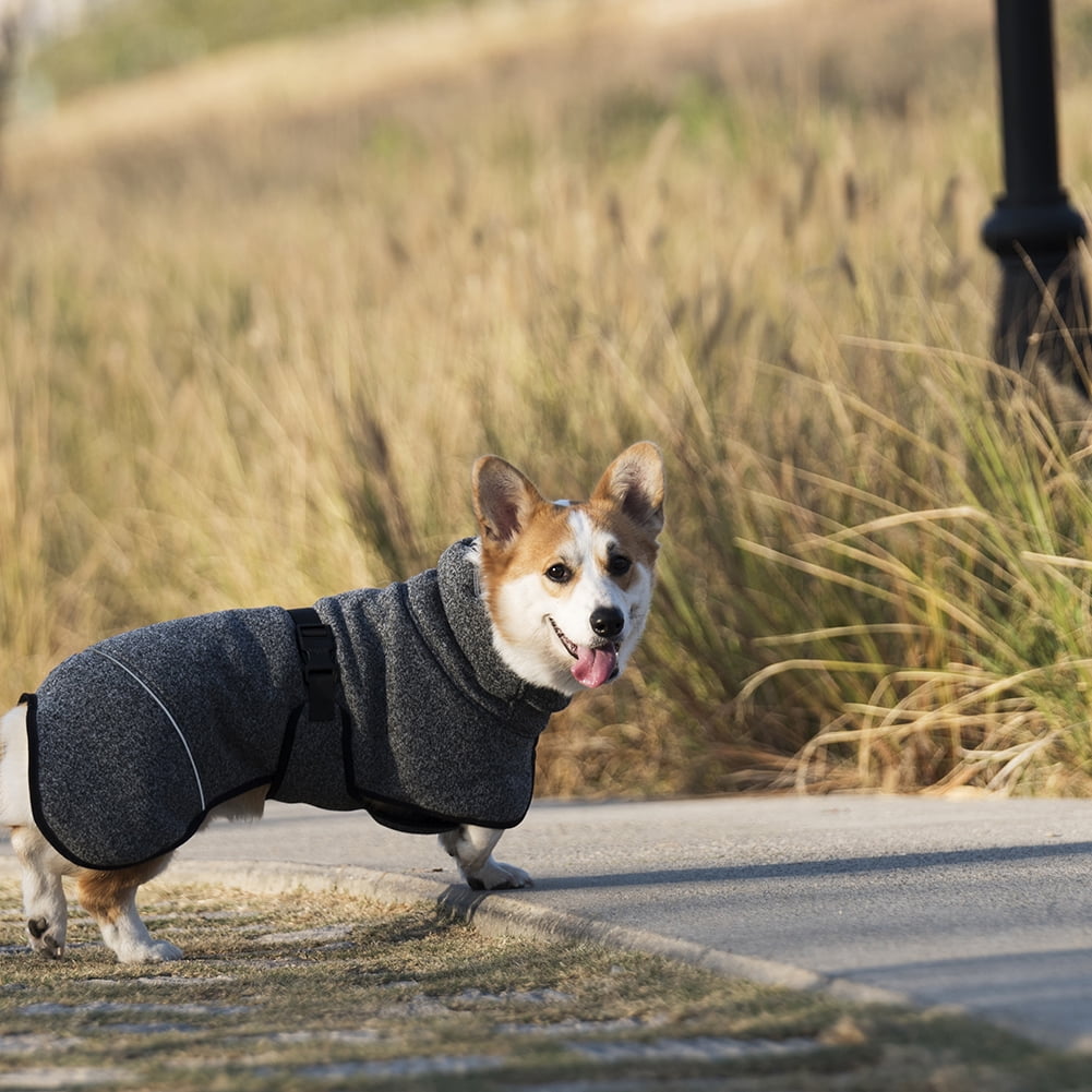 Lowestbest Water Repellent Softshell Dog Jacket, Pet Clothes with High Neckline Collar Cold Weather Lowestbest Water Repellent Softshell Dog Jacket, Pet Clothes with High Neckline Collar Cold Weather