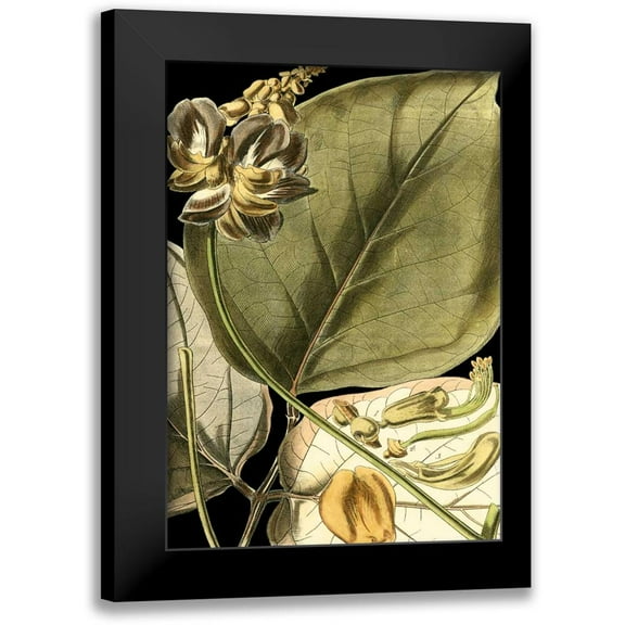 Vision Studio 11x14 Black Modern Framed Museum Art Print Titled - Tranquil Tropical Leaves I
