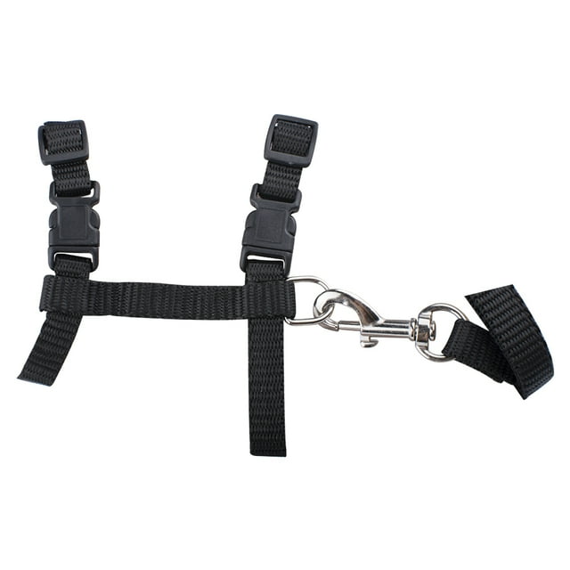 Arnés para gatos, collar de correa de nailon de diseño ajustable con correa, arnés de seguridad para gatos separable para perros pequeños y mascotas que caminan al aire libre, negro MFZFUKR WFLD-55