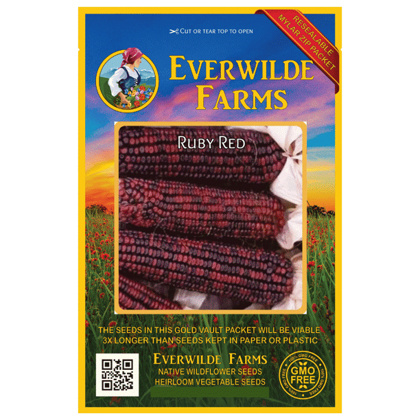 Everwilde Farms 50 Ruby Red Ornamental Corn Seeds Gold Vault Jumbo Bulk Seed Packet Walmart Com Walmart Com