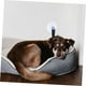 thumbnail image 5 of Collar de aseo para mascotas, cuerda de aseo para baño para perros y gatos con ventosa, multiusos, estable, duradero, ligero, negro, 5 of 5