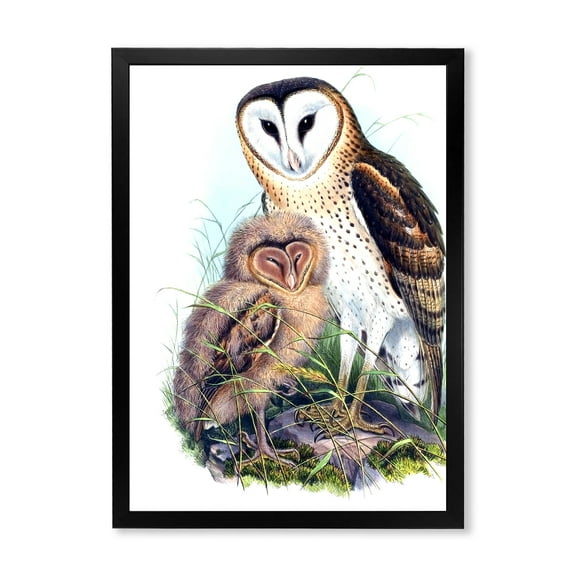 Designart 'Ancient Birds I' Traditional Framed Art Print