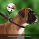thumbnail image 2 of Real Leather Slip Lead Dog Leash, Adjustable Stitched Pet Slip Leads With Slider, Heavy Duty Flat Do, 2 of 3