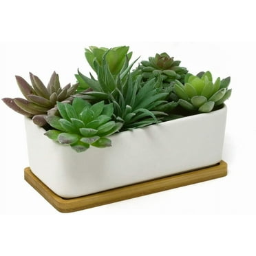 Rectangular Long White Ceramic Succulent Planter Pot with Drainage Hole and Bamboo Saucer