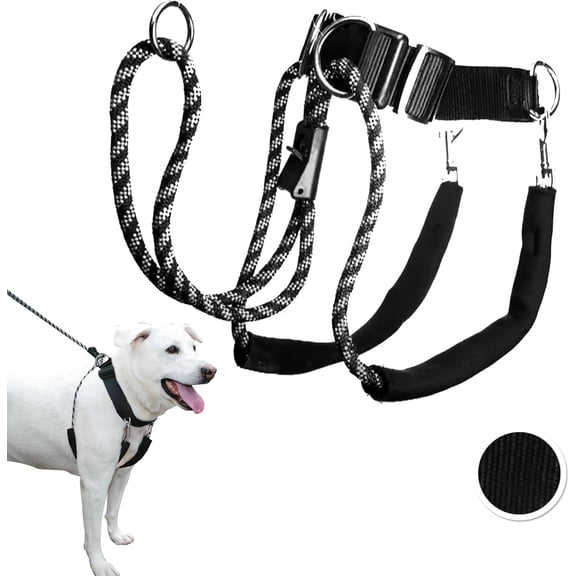 Sporn Big Dog Halter, Black, Large (19-24" Neck Size)