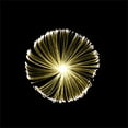thumbnail image 2 of Agiferg Courtyard Decoration Led Solar Light Flower Arrangement Lamp (Shape Can Be Changed Manually, 2 of 3