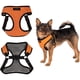thumbnail image 2 of Pechera Para Perro Madiana Arnés Color Naranja Alebripets ALEBRIPAMN, 2 of 5