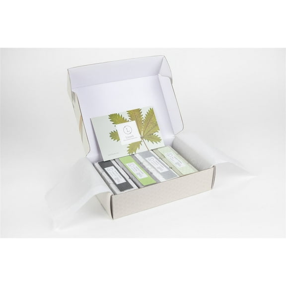 Lizush - Earthy Shower Steamer Gift Box for Men and Women, Set of 12 Shower Steamers Package