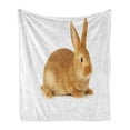 thumbnail image 1 of Bunny Soft Flannel Fleece Throw Blanket, Fluffy Rabbit Sitting on a White Background Friendly, Cozy Plush for Indoor and Outdoor Use, 50" x 60", Caramel Brown, by Ambesonne, 1 of 6