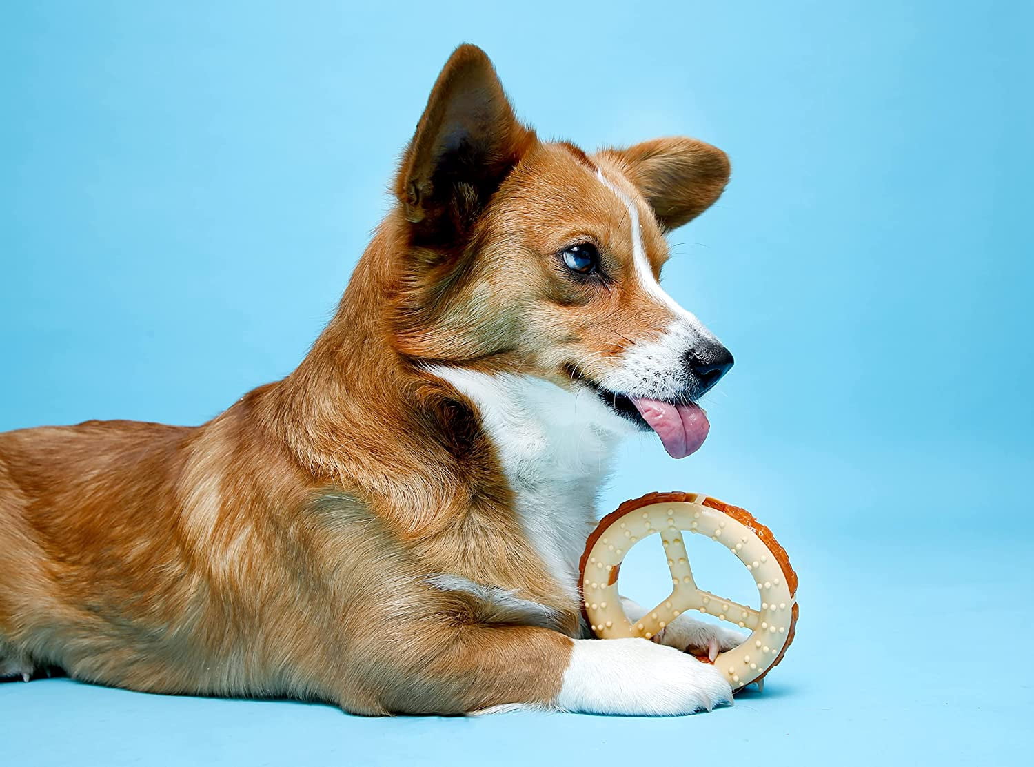 Hartz Chew ‘n Clean Chew Toy and Treat in One Chicken Flavored Ring Dog Toy, Nylon, Medium