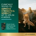 thumbnail image 4 of VetriScience Ultimate Strength Healthy Hip & Joint Care Supplement Chew for MD/LG Dog Duck 60 Ct Bag, 4 of 13