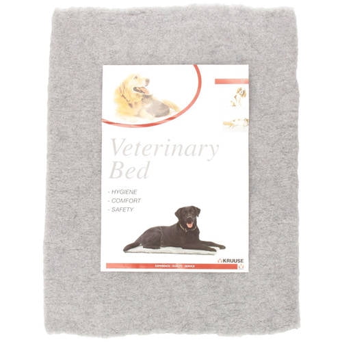 grey vet bed
