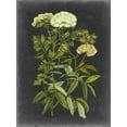 thumbnail image 2 of McCavitt, Naomi 25x32 White Modern Wood Framed Museum Art Print Titled - Bookplate Floral I, 2 of 4