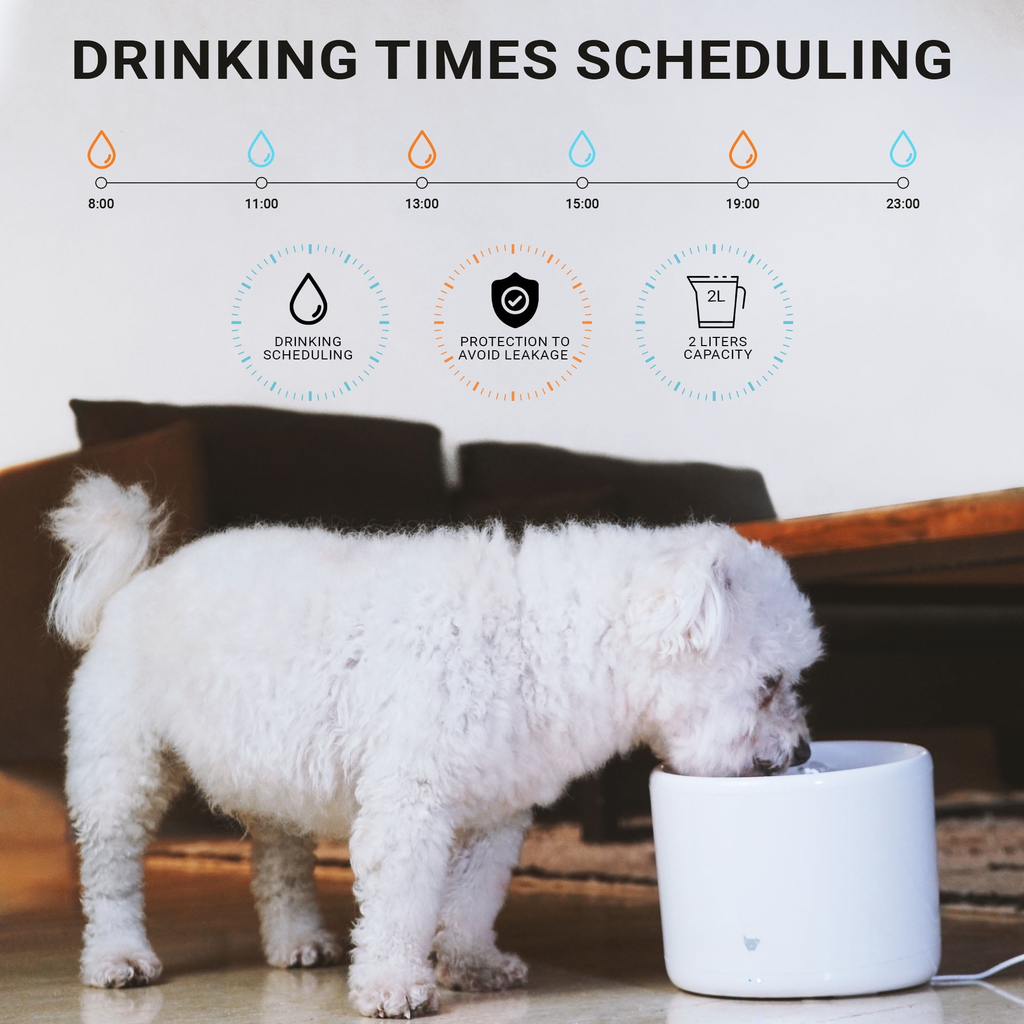 Instachew Purrflow Smart Cat & Dog Water Fountain: Automatic Dog and Cat Water Dispenser