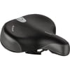 Schwinn Sch Air Pump Seat