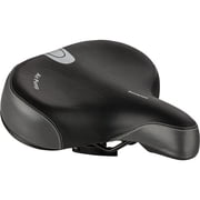 Schwinn Sch Air Pump Seat