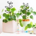 thumbnail image 4 of serony 2pcs/set Garden With Stackable Plant Climbing Trellis Durable And Lightweight black Regular style,2 sets 1Set, 4 of 6