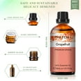 thumbnail image 2 of PHATOIL Grapefruit Essential Oils for Diffusers Humidifier 100% Pure Natural Aromatherapy Massage Bath Sleep Relaxation 30ml/1.01 fl.Oz, 2 of 7