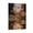 Frame-style, variant on Fiona Apple Poster Canvas Poster Posters Wall Art Painting Canvas Gift Living Room Prints Bedroom Decor Poster Artworks 24x36inch(60x90cm)