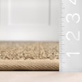 thumbnail image 2 of nuLOOM BHSG01A Elijah Seagrass Area Rug, 8` x 10`, Beige, 2 of 10