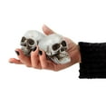 thumbnail image 2 of Halloween Skulls Plastic Head Skeleton Mini Heads Decor Prop Ornament Prank Human Hallween Bulk Model Decorations, 2 of 7