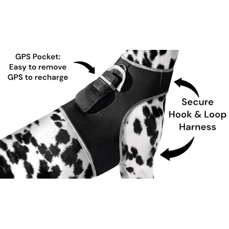 GPS Real Time Pet Tracking Device Waterproof Dog Cat Location Finder Size:M