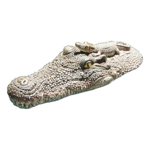 crocodile float