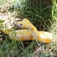 thumbnail image 5 of Juego de 2 figuras de serpiente de goma realistas para Halloween, 5 of 5