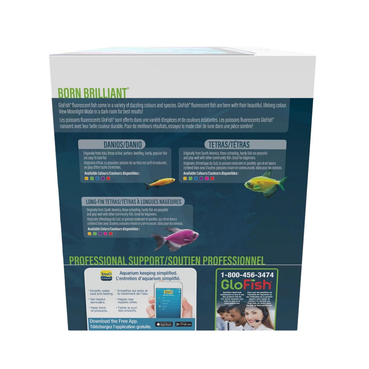 GloFish Kit d'aquarium parfait pour débutant 5 gallons