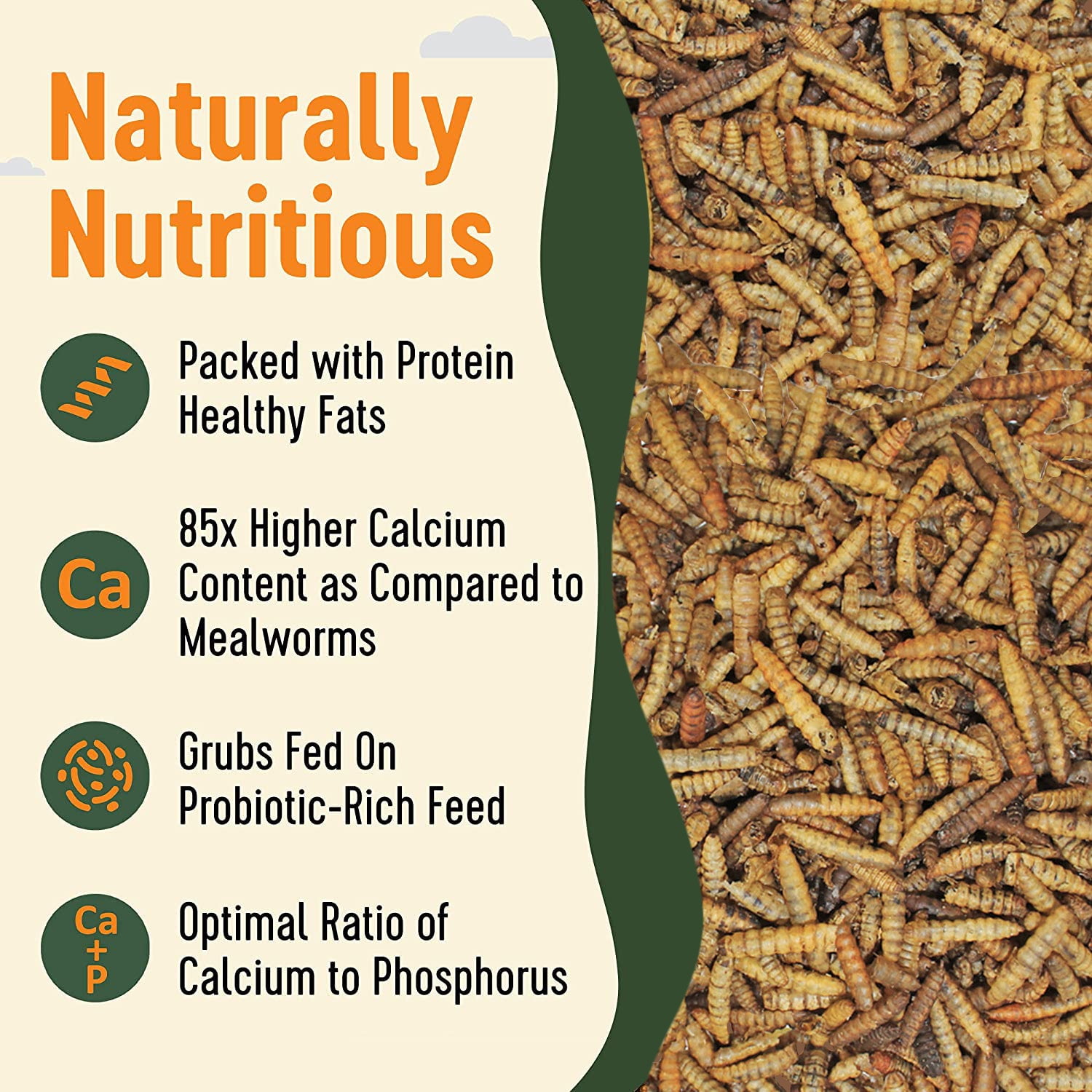 Exotic Nutrition EZ-Worms (20 lb.)- Blend of Dried Mealworms & Black Soldier Fly Larvae (BSFL) - Healthy Insect Treat - Chickens, Bluebirds, Sugar Gliders, Hedgehogs, Squirrels, Skunks, Reptiles