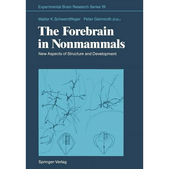 Experimental Brain Research The Forebrain in Nonmammals: New Aspects of Structure and Development, Book 19, (Paperback)