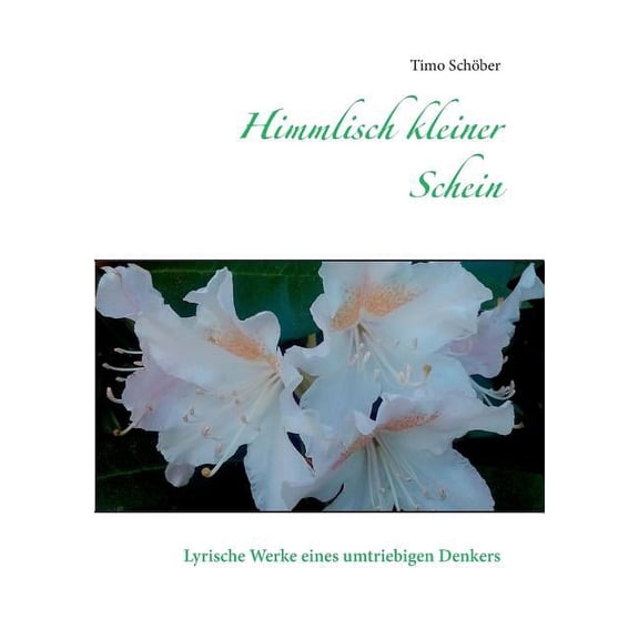 Himmlisch kleiner Schein: Lyrische Werke eines umtriebigen Denkers, (Paperback)