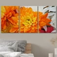 thumbnail image 3 of wall26 Canvas Print Wall Art Set Orange &amp; Yellow Chrysanthemum Flowers Floral Botanical Photography Modern Art Rustic Scenic Colorful Ultra for Living Room, Bedroom, Office - 24"x36"x3, 3 of 5