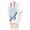 Purple-Yellow, variant on Finch Adult Softball Batting Glove