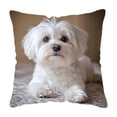 thumbnail image 2 of Pillows for Couch, Spring Cute Pet Patterns Cushion Cover Soft Throw Pillow Cover For Sofa And Chair Ideal Choice For Spring Easter Sofa And Bedroom Decoration, 2 of 6