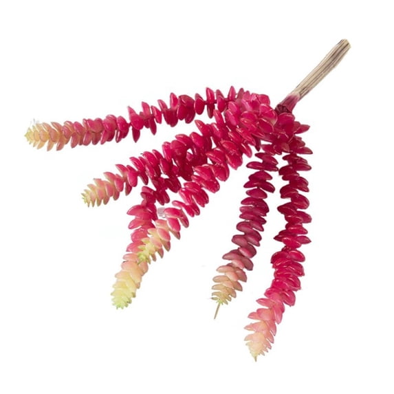Gift Micro Landscape Party Supplies Livingroom Office Hotel Plant Wall Lifelike Cactus Artificial Succulent Home Decoration RED