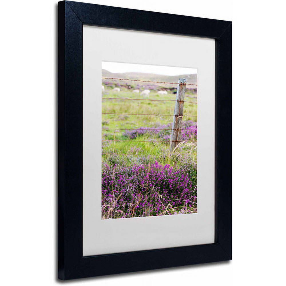Trademark Fine Art "Symbol" Canvas Art by Philippe Sainte-Laudy, White Matte, Black Frame