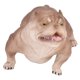 thumbnail image 5 of Juguetes de colección para perros, modelo de simulación de Bulldog, modelo de perro educativo, modelo de perro, decoración probada y confiable, 5 of 8
