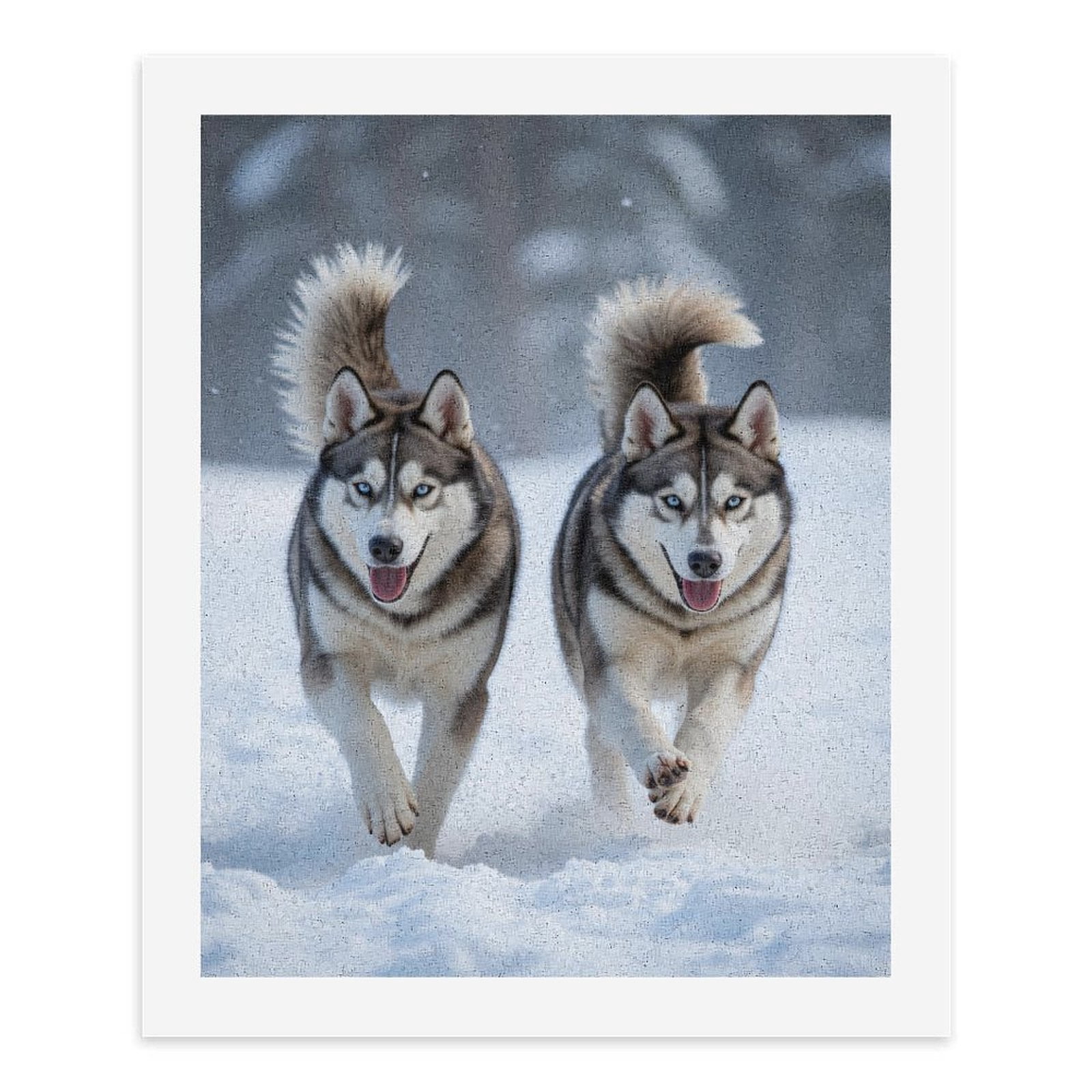 Paint by Numbers Kit for Adults, Siberian Huskies Running Winter Snow Paint by Numbers, Easy Paint by Numbers Kit for Adults Beginner, DIY Adult Paint by Number Kits on Canvas, Home Decor