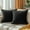 Black, variant on Dtwnek Pack of 2 Velvet Throw Pillow Covers Decorative Pillow Case Solid Color Cushion Case for Couch Living Room Sofa Bedroom Car, 20x20inch