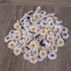 thumbnail image 2 of 100 cabezas de flores artificiales de gerbera para bodas y fiestas (blancas), 2 of 5