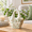 04-green and Beige, variant on 01-green and Beige Ceramic Flower Vase 8 Inch Home Decor Pitcher