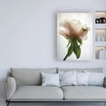 thumbnail image 3 of Trademark Fine Art 'Translucent Peony VII' Canvas Art by Debra Van Swearingen, 3 of 3