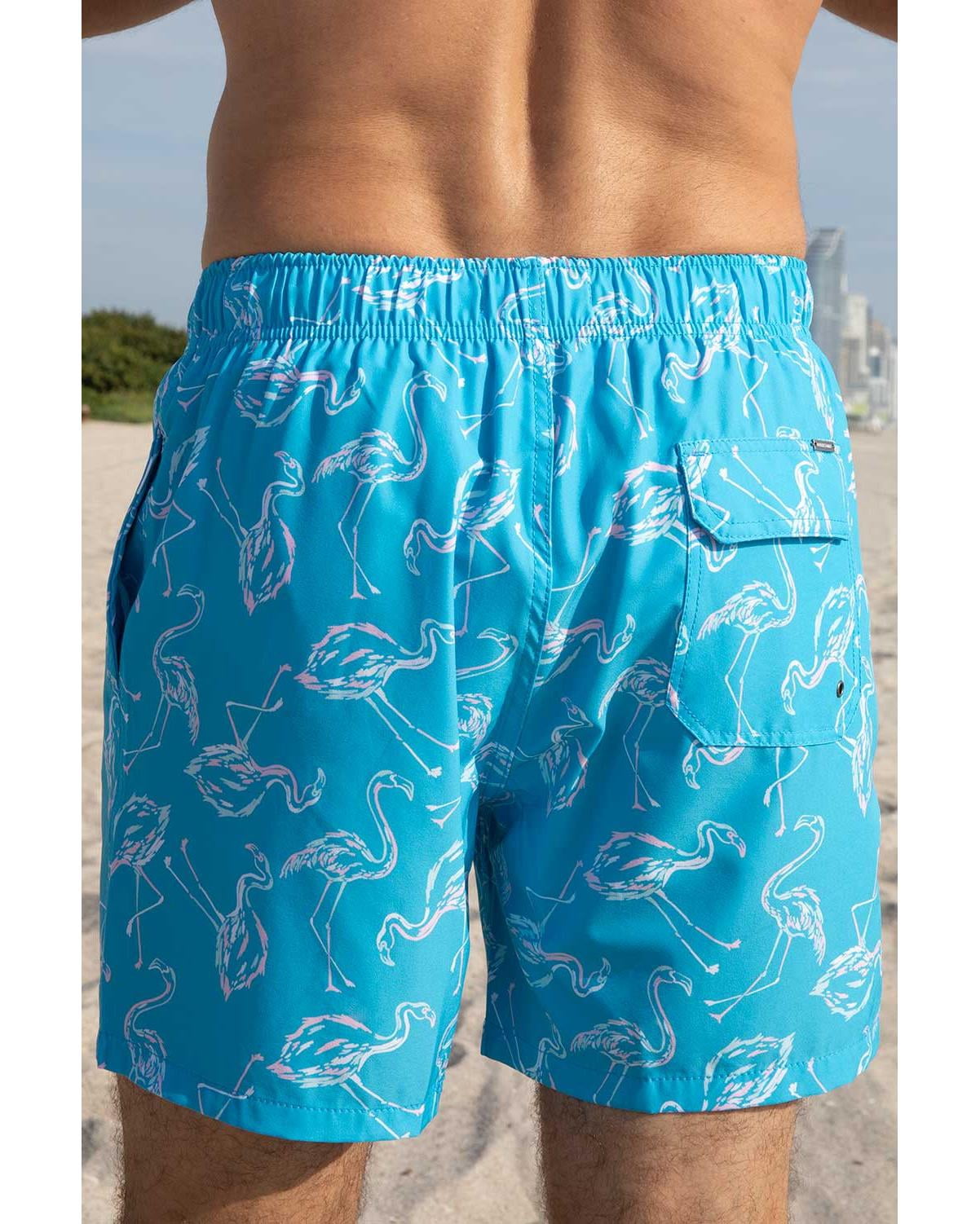 Boys Swim Shorts Dry Fast 4 Ways Stretch Swimming Trunks with Fun Designs, Flamingo Aqua, Size: 4, Endless Summer
