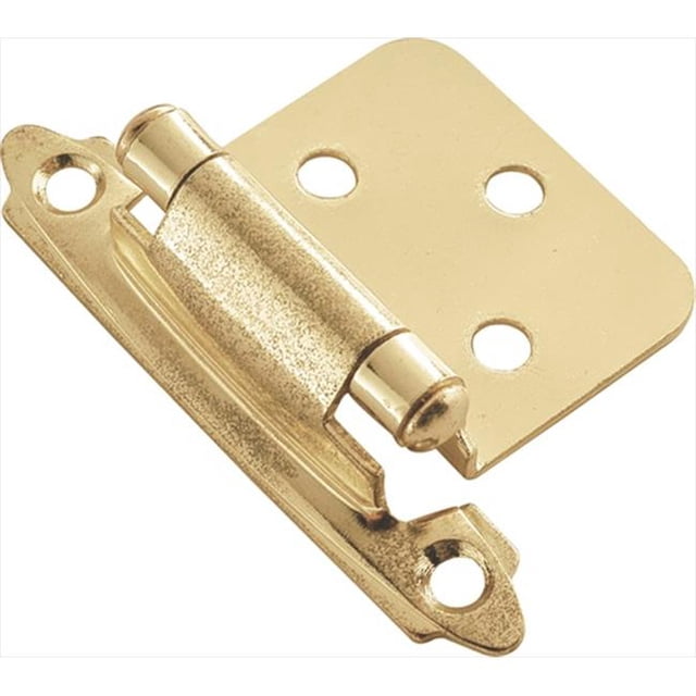 Polished Brass Surface Self-Closing Flush Hinge 2-Pack