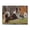 500 Pieces, variant on 500-Piece Wooden Jigsaw Puzzle for Adults - Dog Catching Disc Outdoor Fun , Challenging Family Art Project, Unique Home Wall Decor Gift