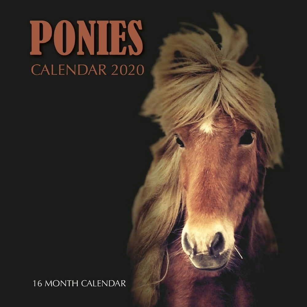 Ponies Calendar 2020 16 Month Calendar (Paperback)