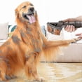 thumbnail image 2 of New Vacuum Cleaner Pet Hair Cleaning Brush Groom Tool Replacement Attachment For Animal Dog Pet Brus, 2 of 3