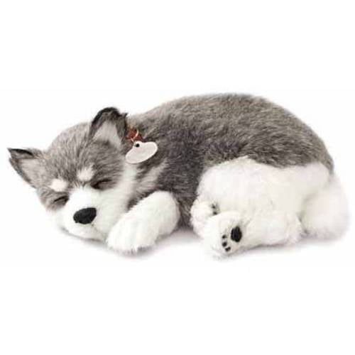 husky puppy stuffed toy