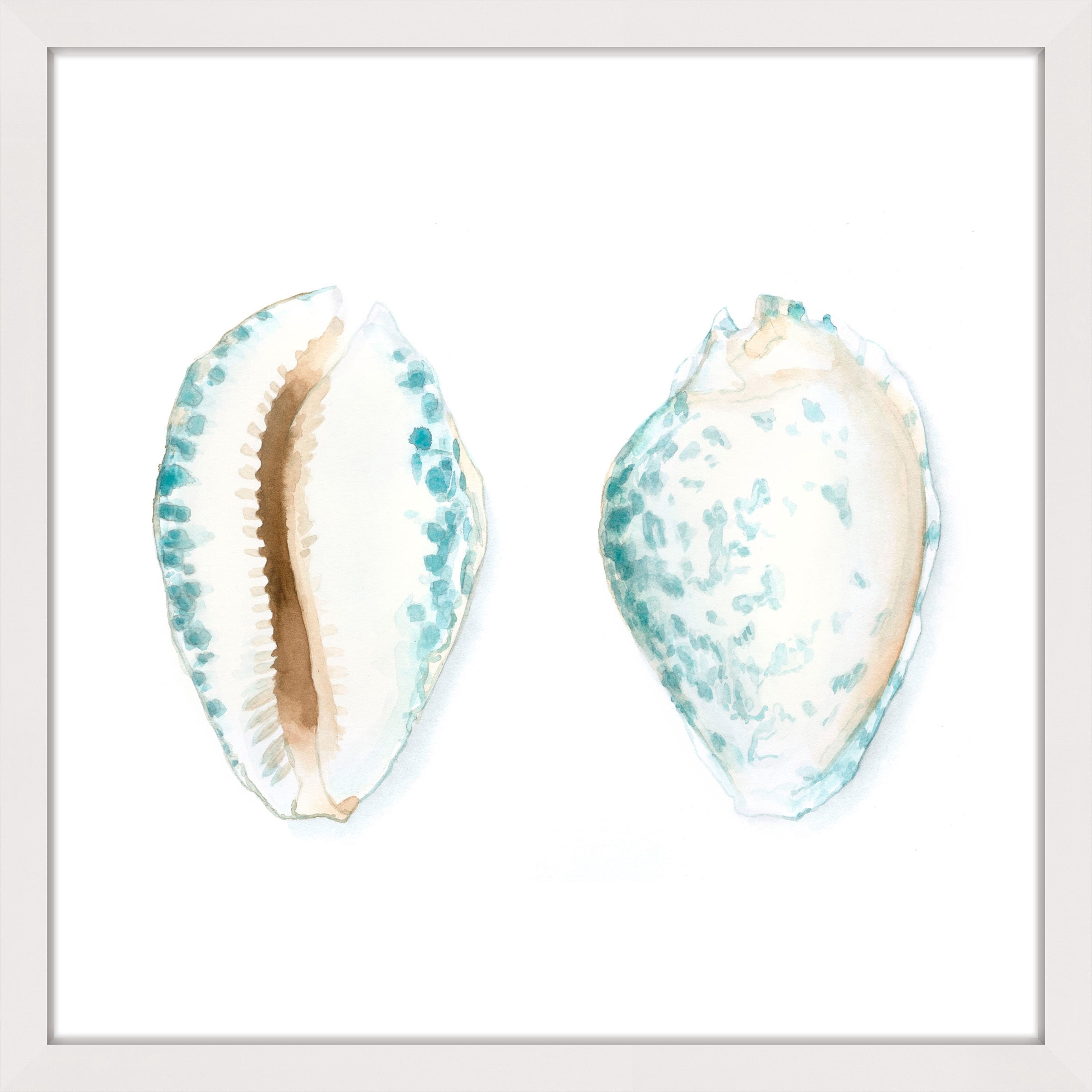 Marmont Hill "Watercolor Shells VI" Framed Painting Print